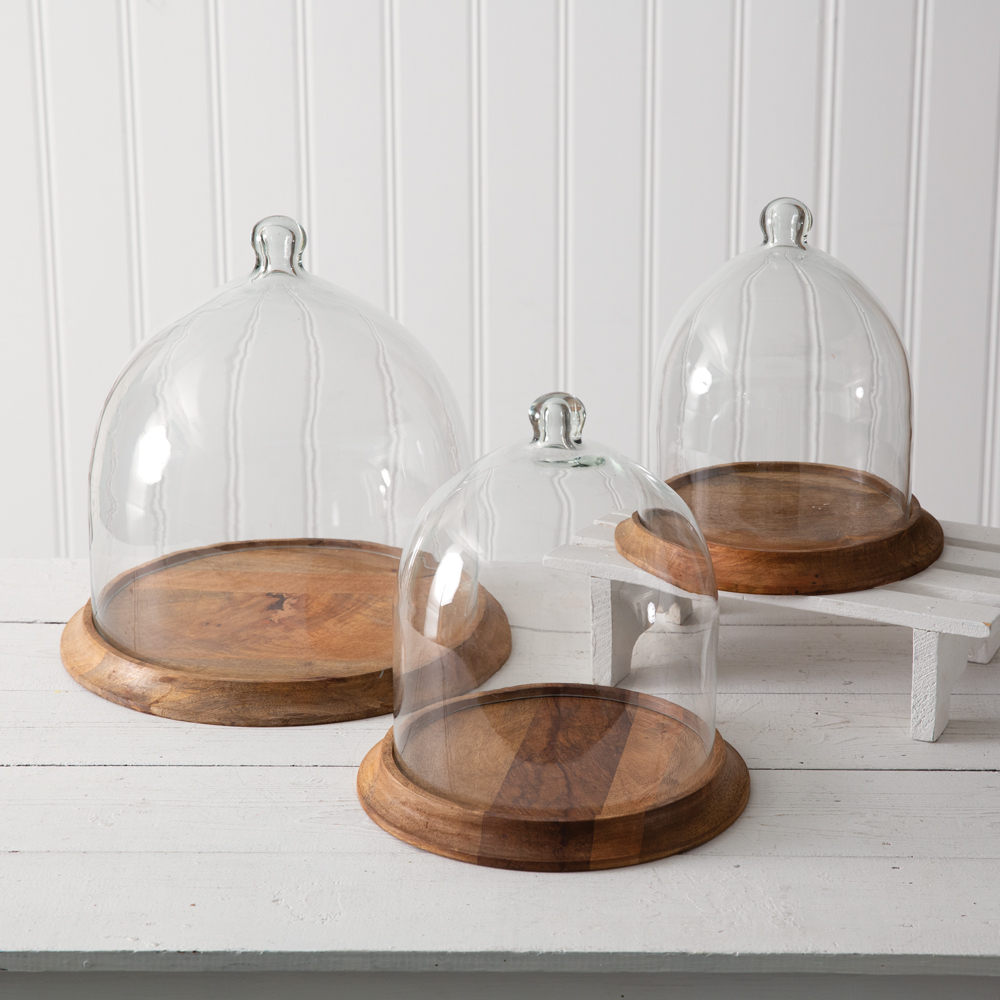 Small Glass Bell Shaped Cloche with Wood Base CTW Home Collection