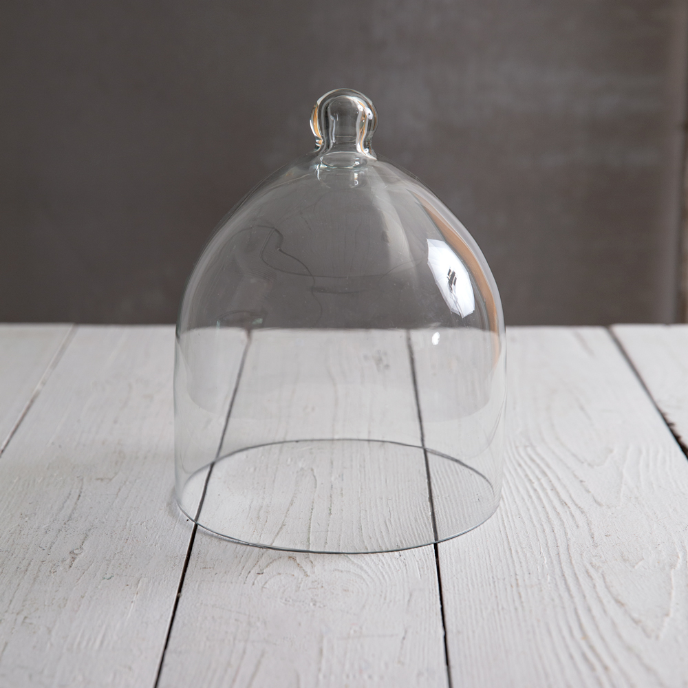 Small Glass Bell Shaped Cloche CTW Home Collection
