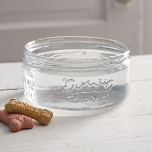 Mason jar hotsell pet feeder