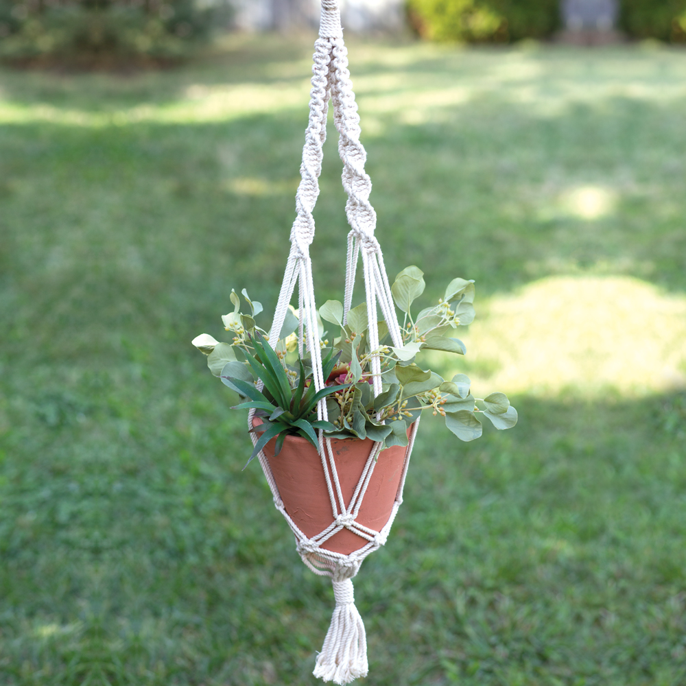 Leilani Plant Hanger with Pot CTW Home Collection